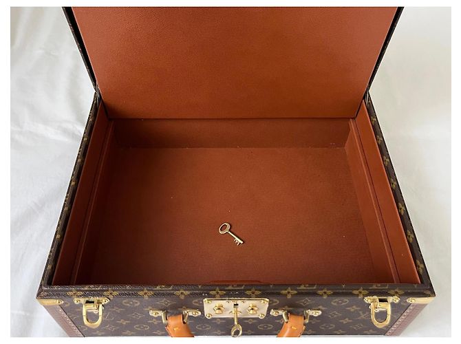 Louis Vuitton Valigetta Super Presidente Marrone - vista 11