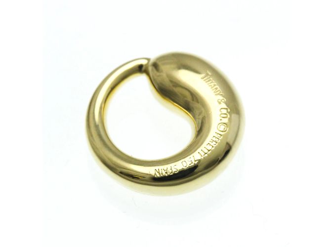 Tiffany & Co Collana pendente in oro giallo Tiffany Eternal Circle D'oro - vista 6