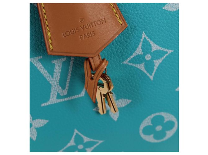 LOUIS VUITTON Speedy P9 Bandoliera 40 Borsa Blu Turchese M11563 Auth 115230SM Monogramma - vista 17