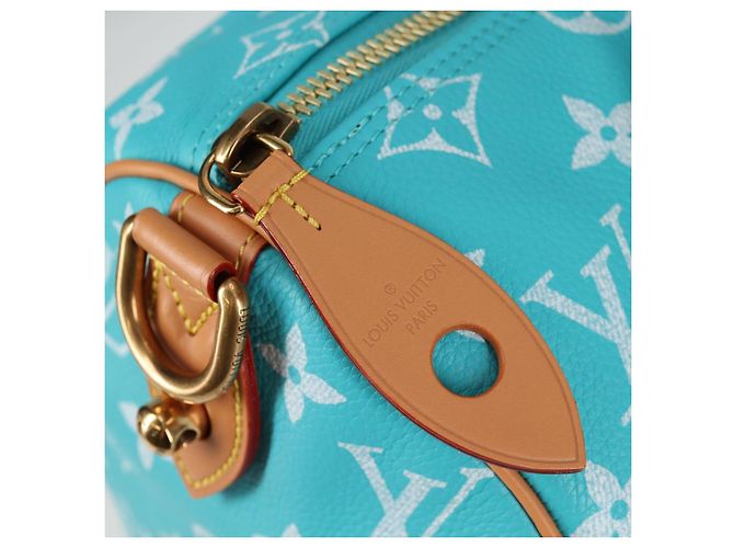 LOUIS VUITTON Speedy P9 Bandoliera 40 Borsa Blu Turchese M11563 Auth 115230SM Monogramma - vista 18