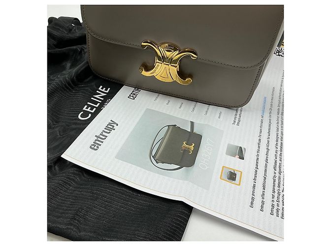 Bolsa Céline Triomphe Teen de couro cinza - vista 9