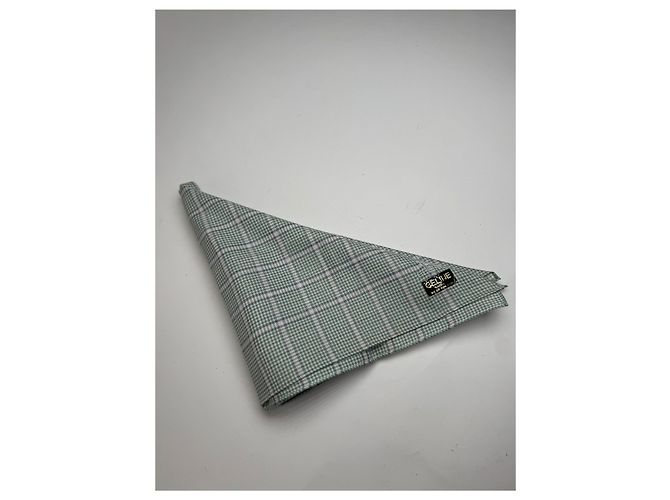 Céline Vintage Celine Karoschal grau weiß Grün - vista 9