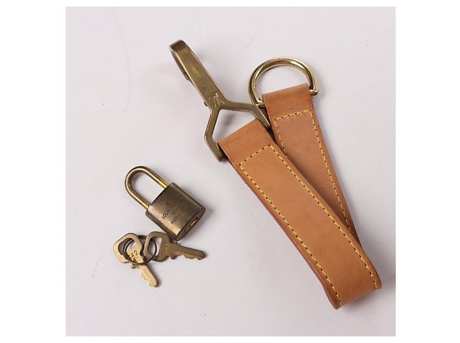 Valigia da Viaggio Monogramma Louis Vuitton Pegase 55 M23294 Marrone - vista 16