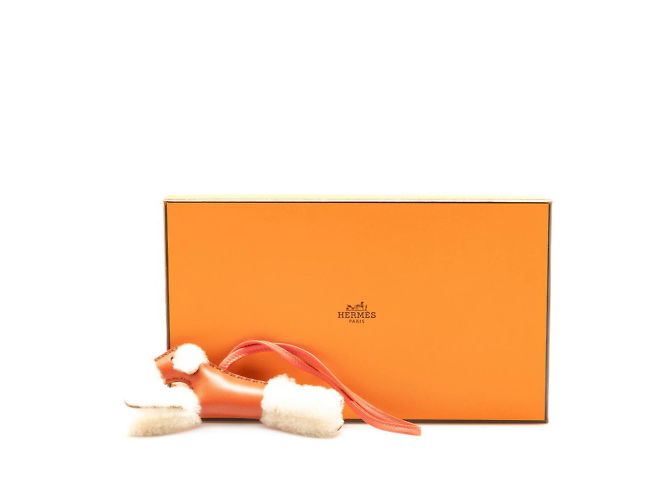 Hermès Borsa Charm Buddy di Hermes Rosso Crudo - vista 4