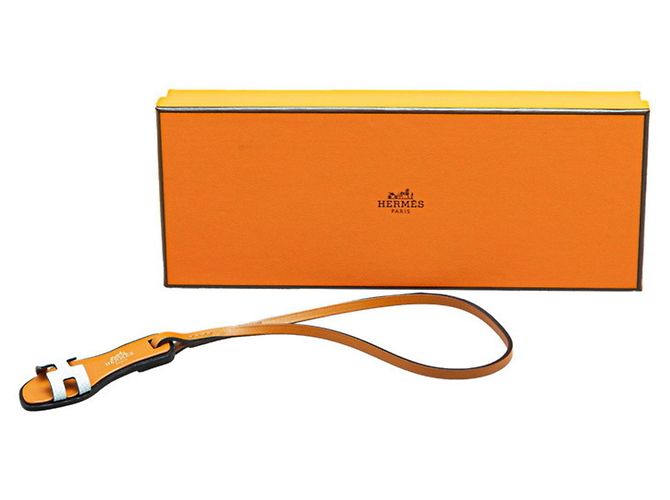 Borsa charm Sandalo Nano Oran di Hermès Marrone Blu chiaro - vista 5