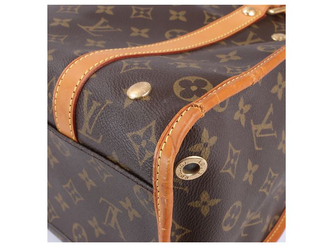 Borsa a mano Baxter PM Monogramma Louis Vuitton M42027 Marrone - vista 16
