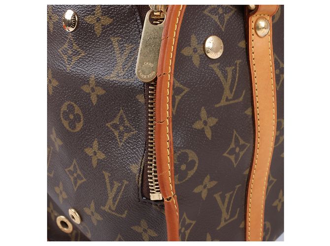 Borsa a mano Baxter PM Monogramma Louis Vuitton M42027 Marrone - vista 6