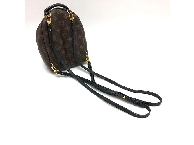 Louis Vuitton Palm Springs MINI Rucksack Braun - Ansicht 16