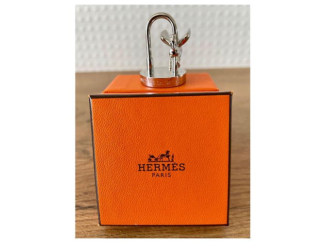 Hermès Triomphe Paris Carousel Silber - Ansicht 8