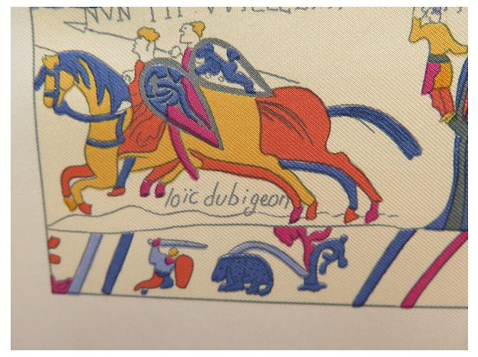 Hermès SCARF HERMES IN ONORE DI GUILLAUME DUBIGEON 90 SETA ARANCIONE - vista 9
