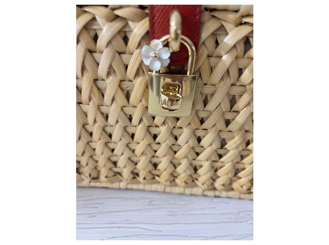 Borsa a mano Dolce & Gabbana in pelle beige - vista 11