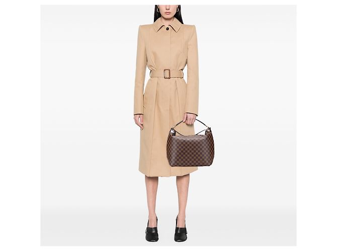 Louis Vuitton Brown Damier Ebene Duomo Hobo - view 11