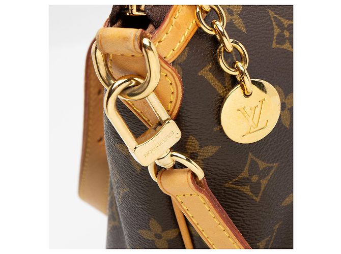 Bolsa tote Palermo GM em canvas Monogram Louis Vuitton Marrom - vista 10
