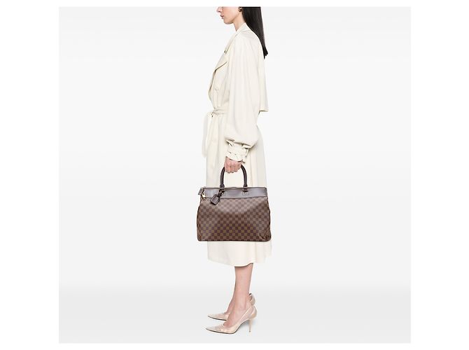 Louis Vuitton Marrone Damier Ebene Greenwich PM - vista 13