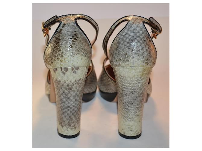 Maliparmi Python Pumps Größe 40 Mehrfarben - Ansicht 3