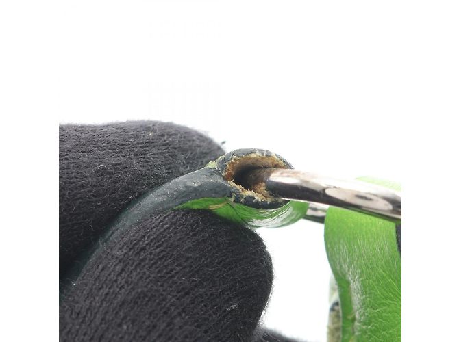 Borsa a Spalla Vespa TPM Hermès Verde - vista 13