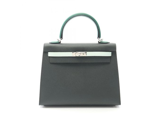 Hermès Hermes Kelly 25 Tricolore Handbag Green Leather ref.2362987 ...