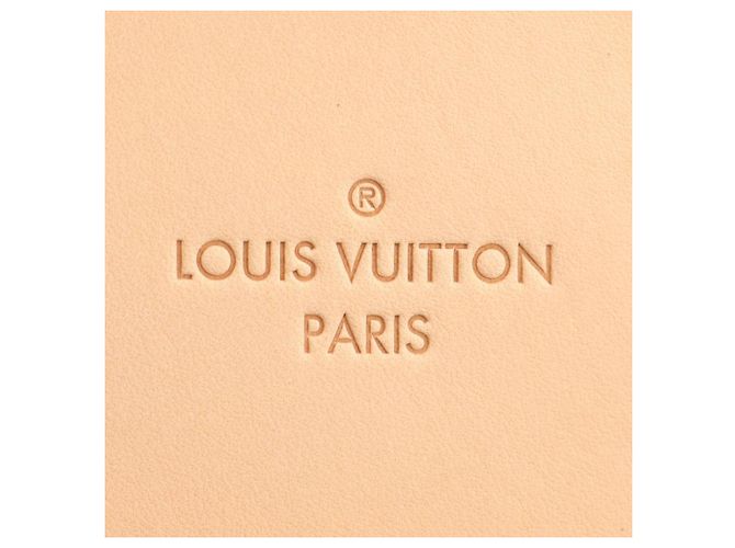 Louis Vuitton Marrone Monogram Zephyr 50 - vista 4
