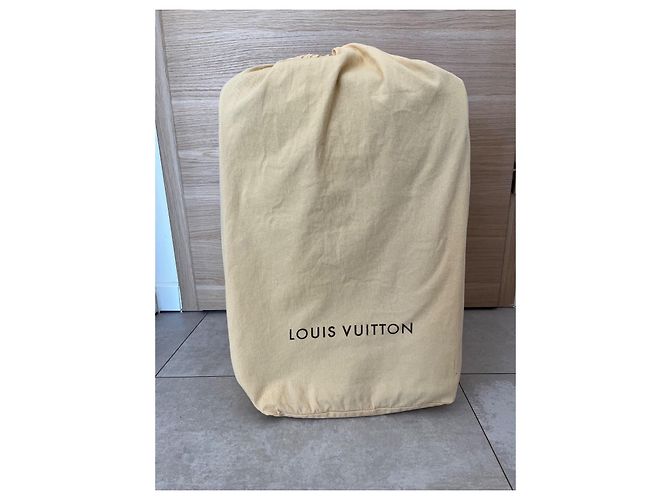 Louis Vuitton Valigia Pégase 55 Nera e Grigia Nero Grigio - vista 7
