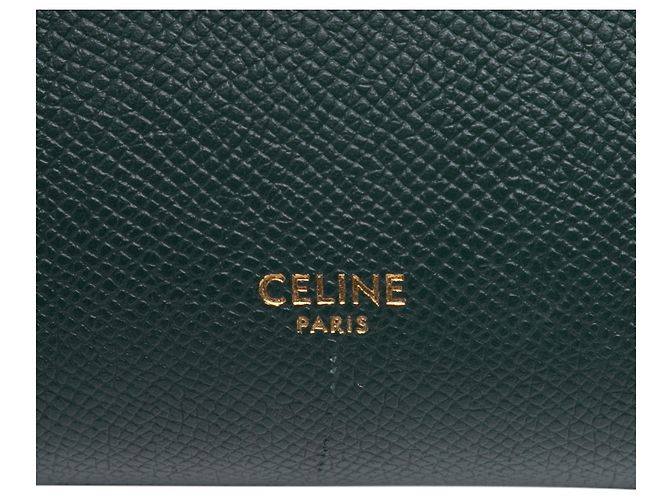 Belt Bag Céline Gürtel Tasche aus grünem genarbtem Kalbsleder Celine Pico Dunkelgrün - Ansicht 5