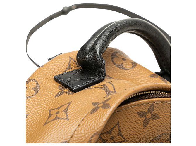 Mini Palm Springs Monogramma Reverse Marrone Louis Vuitton - vista 9