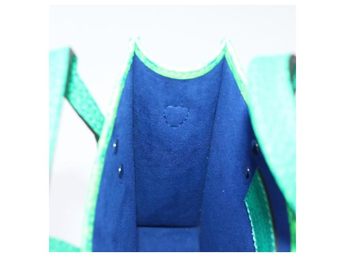 LOUIS VUITTON Borsa Sac Plat XS Monogram Taurillon Illusion M81221 LV Auth 47623SM Blu Verde - vista 19