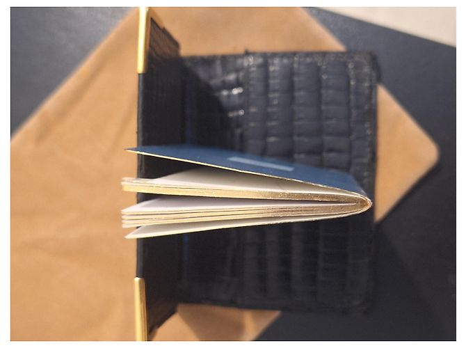 Hermès porosus Negro - vista 16