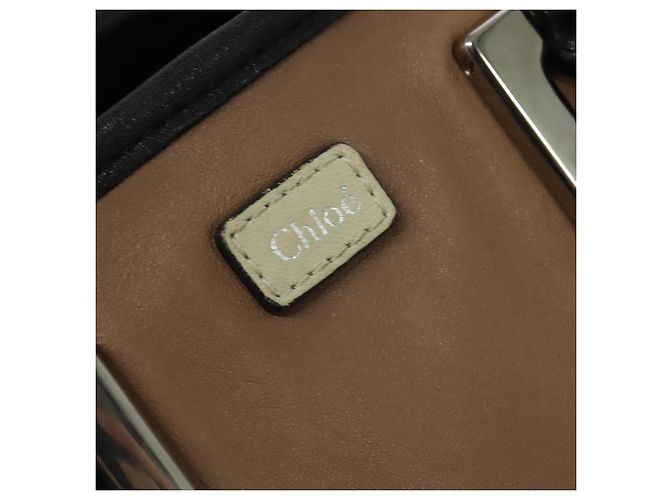 Chloé Borsa a mano Chloe Etel in pelle 2 in 1 rosa argento Auth BA4166 - vista 17