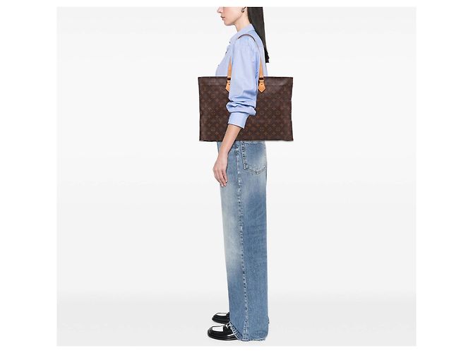 Louis Vuitton Monogram Marrone All In PM - vista 12