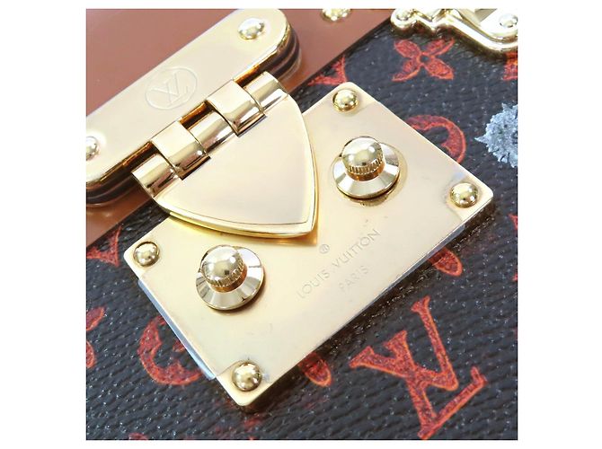 Borsa a spalla Catgram trasformata Petite Malle Louis Vuitton Marrone - vista 11