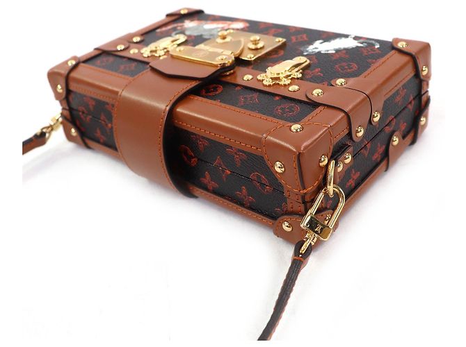Borsa a spalla Catgram trasformata Petite Malle Louis Vuitton Marrone - vista 5