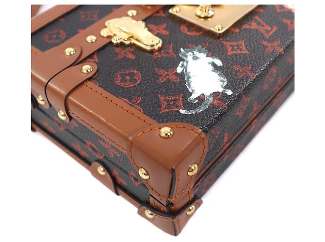 Borsa a spalla Catgram trasformata Petite Malle Louis Vuitton Marrone - vista 7