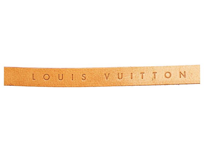 Borsa a vita XS Monogram Florentine di Louis Vuitton Marrone - vista 10