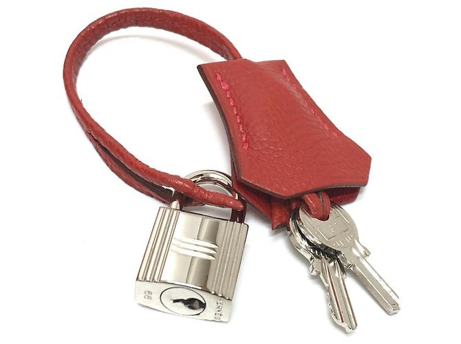 Borsa Tote Hermès Birkin 25 in pelle Togo Rosso - vista 13