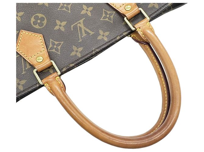 Borsa Tote Sac Plat Monogram Louis Vuitton Marrone - vista 10