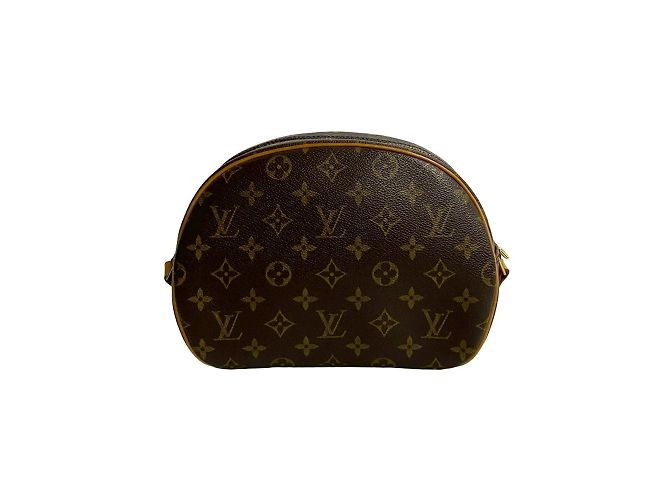 Borsa a spalla mini in pelle Monogram Blois di Louis Vuitton Marrone - vista 4