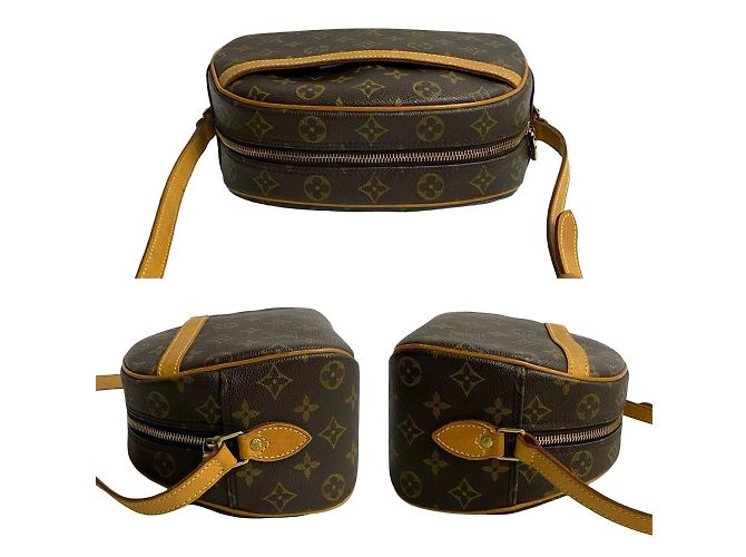 Borsa a spalla mini in pelle Monogram Blois di Louis Vuitton Marrone - vista 5