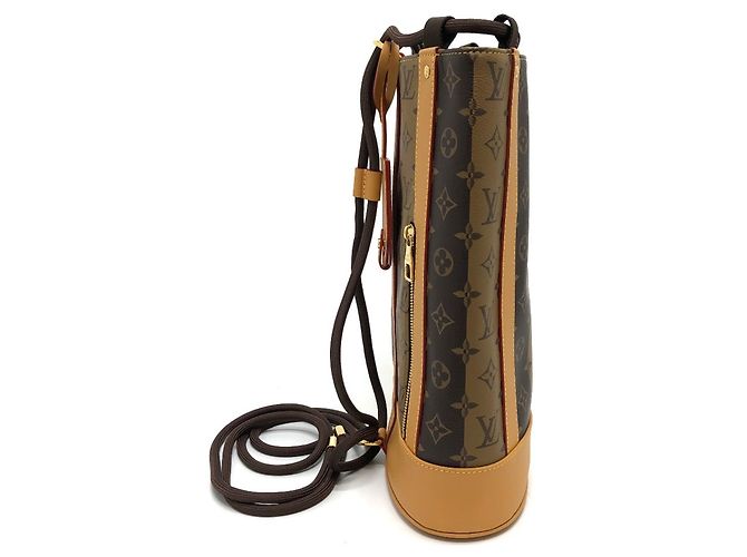 Borsa a Spalla Randonne Monogram Stripe di Louis Vuitton Marrone - vista 3