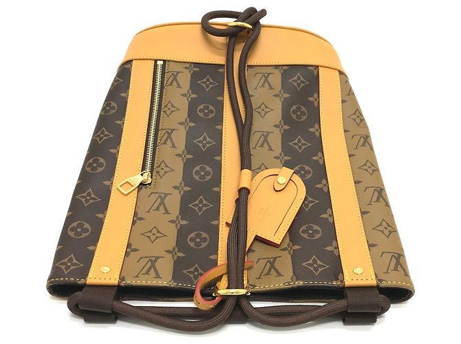 Borsa a Spalla Randonne Monogram Stripe di Louis Vuitton Marrone - vista 5