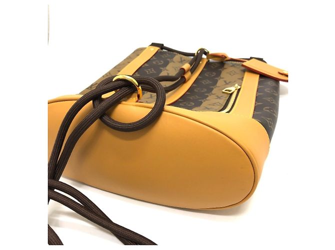Borsa a Spalla Randonne Monogram Stripe di Louis Vuitton Marrone - vista 8