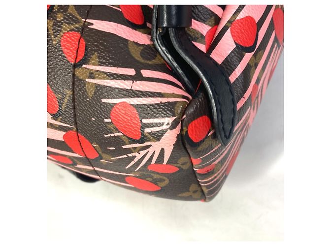 Zaino Palm Springs PM Jungle Dot Monogram Louis Vuitton Marrone Rosa Rosso - vista 13