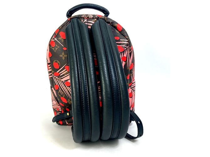 Zaino Palm Springs PM Jungle Dot Monogram Louis Vuitton Marrone Rosa Rosso - vista 2