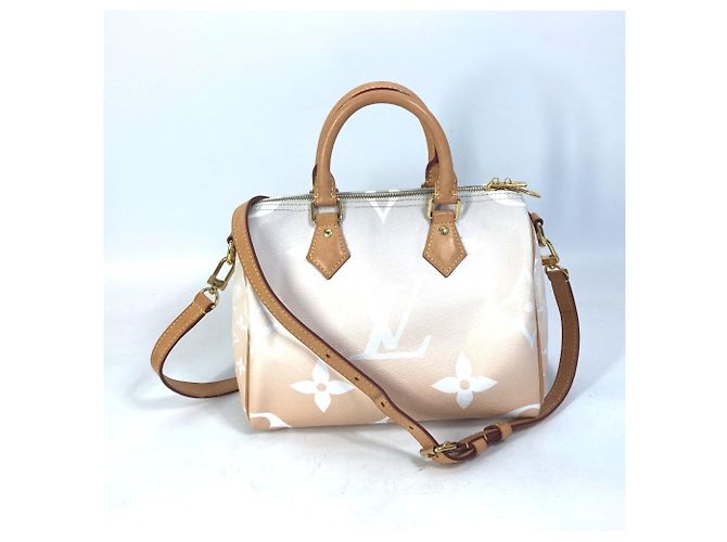 Speedy Borsa Boston Mini Bandoulière 25 Monogramma Gigante Gradiente Louis Vuitton Arancione - vista 2