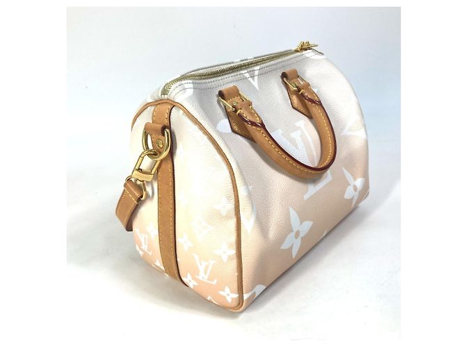 Speedy Borsa Boston Mini Bandoulière 25 Monogramma Gigante Gradiente Louis Vuitton Arancione - vista 4