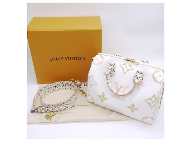 Louis Vuitton Speedy Bandoulière 25 am Pool - Ansicht 12