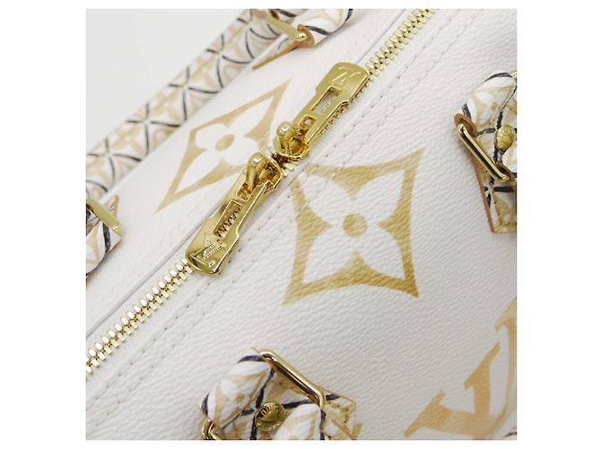Louis Vuitton Speedy Bandoulière 25 am Pool - Ansicht 6