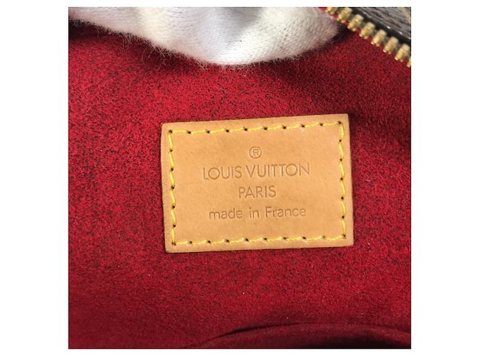 Borsa Louis Vuitton Monogram Excentric Cite Marrone Monogramma - vista 14