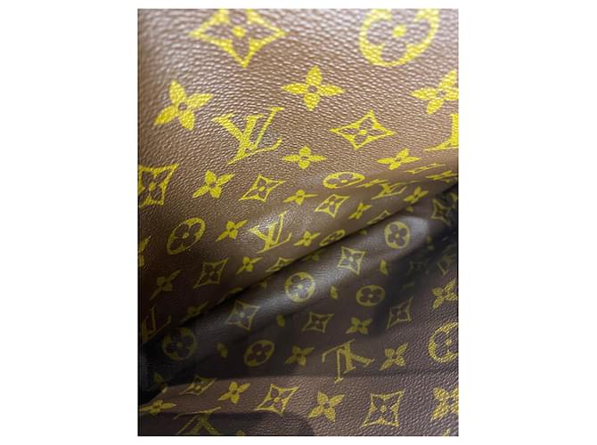 Louis Vuitton Borsa a tracolla portatile Marrone - vista 11