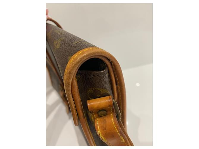 Louis Vuitton Borsa a tracolla portatile Marrone - vista 15