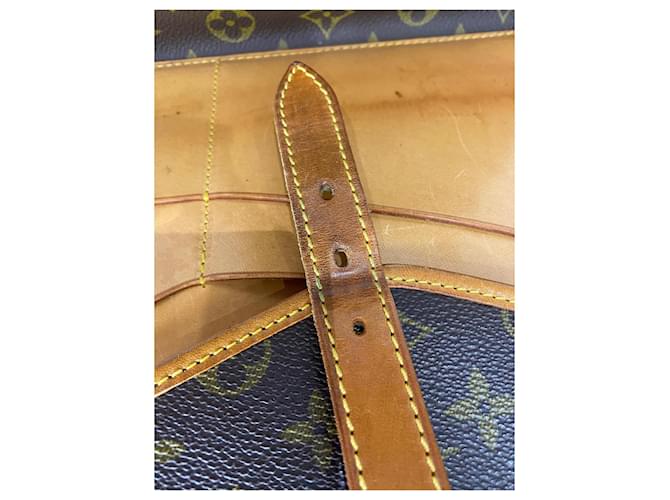 Louis Vuitton Borsa a tracolla portatile Marrone - vista 9